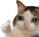 crycatok