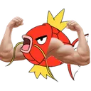 buffkarp buffkarp