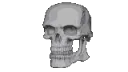 skullll