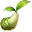 Mokoko