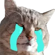 kirstCry