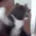 jaimy