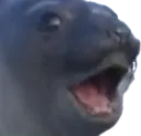PogSeal