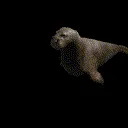 texture_atlas_is_gone