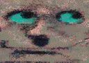 smuggy