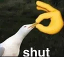 shut