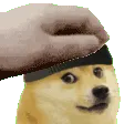 patfun
