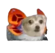 Sonnorsmallconcern Sonnorsmallconcern