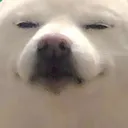 doubt