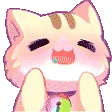 droolkitty