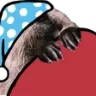 sleep sleep