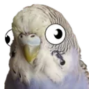 Borbwhat Borbwhat