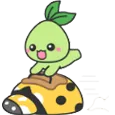 mokokoZoom