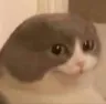 sussyboi