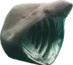 Sharkpog sharkPog Discord Emoji