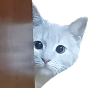 mPeek