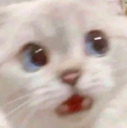 HP_waitwhaaa Discord emoji