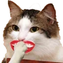 gigglecat