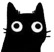 catblack