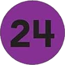 R24 Discord emoji