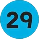 R29 Discord emoji