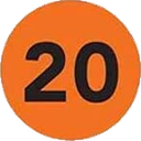 R20 Discord emoji