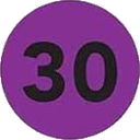 R30 Discord emoji