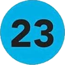 R23 Discord emoji