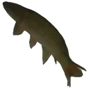 LeFishe