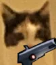 CatGun CatGun