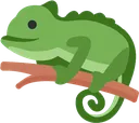 chameleon