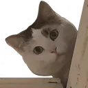 TottyPeek