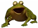 fpog fpog