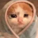 sadcat sadcat