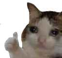 sad_ok Discord emoji