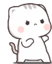 CAT_fight