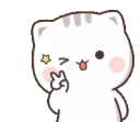 CAT_wink