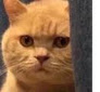 vsk_chusthuna Discord emoji