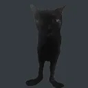 kit kit