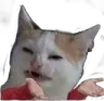 what_are_you_saying