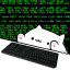 coding