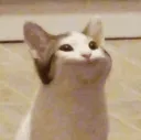 Pop
