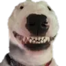 happywalter