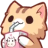 catsip