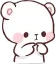 shybear shybear