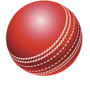 cricketball_fsoi