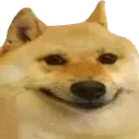 dogesmoil