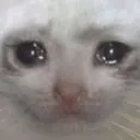 sadnibs sadnibs