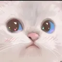 catstare