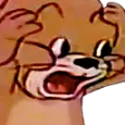 jerryshocked